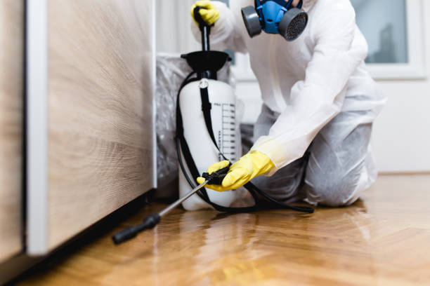 Best Mosquito Control Services  in Chetopa, KS