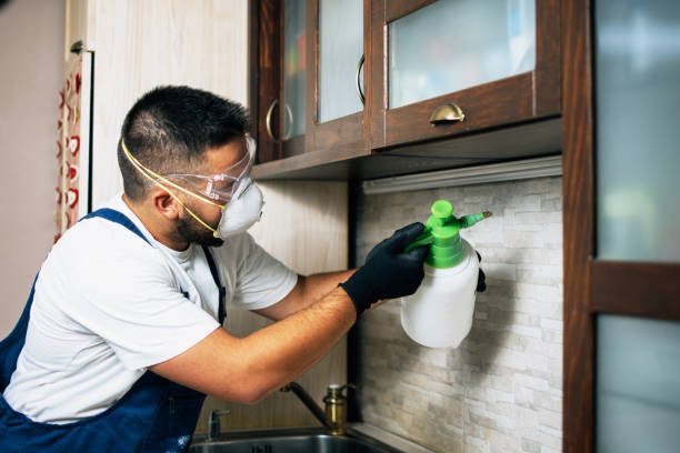 Best Exterminator Services  in Chetopa, KS