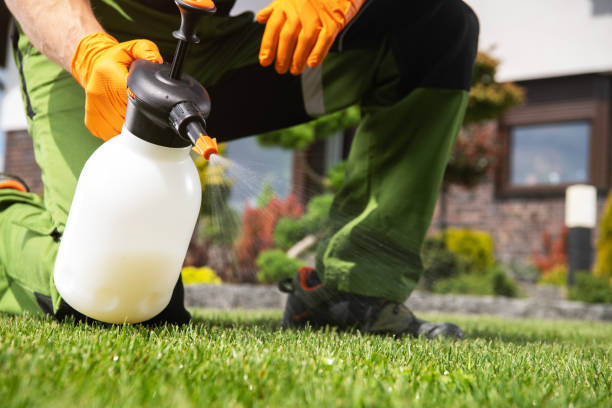 Best Commercial Pest Control Services  in Chetopa, KS