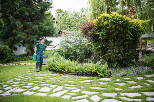 Best Pest Inspection Near Me  in Chetopa, KS