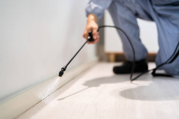 Best Pest Prevention Services  in Chetopa, KS