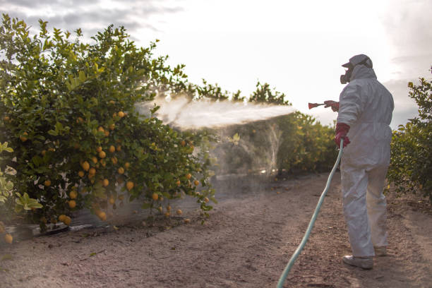 Best Wildlife Control Services  in Chetopa, KS