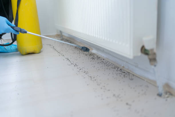 Best Mosquito Control Services  in Chetopa, KS