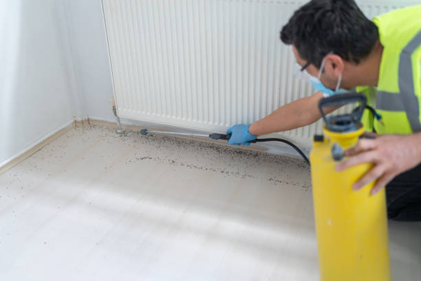Best Flea Control Services  in Chetopa, KS