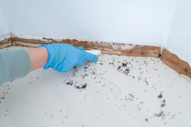 Best Best Pest Control Companies  in Chetopa, KS