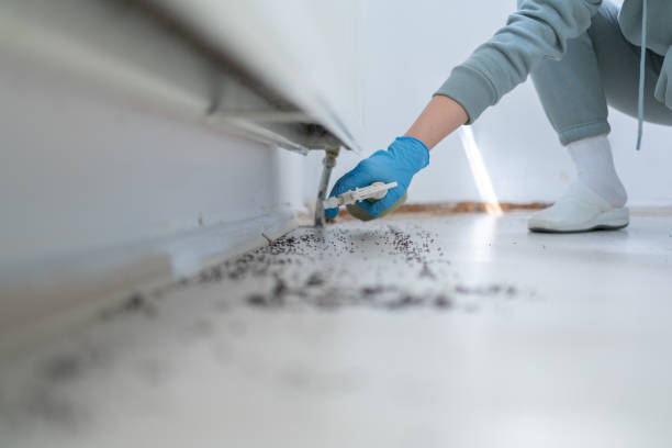 Best Rat Extermination Near Me  in Chetopa, KS