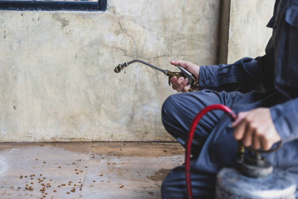 Best Best Pest Control Companies  in Chetopa, KS