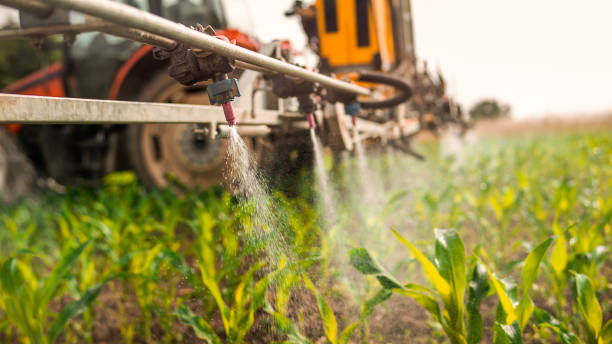 Best Best Pest Control Companies  in Chetopa, KS