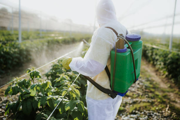 Flea Control Services in Chetopa, KS
